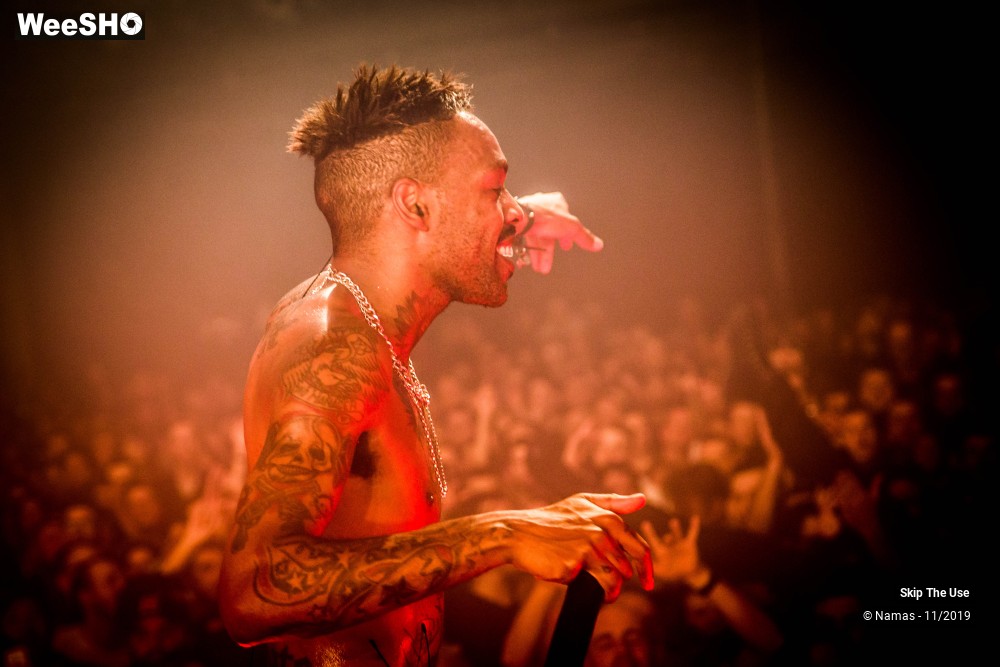 24/30 photos du spectacle Skip The Use