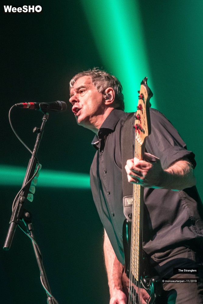13/30 photos du spectacle The Stranglers