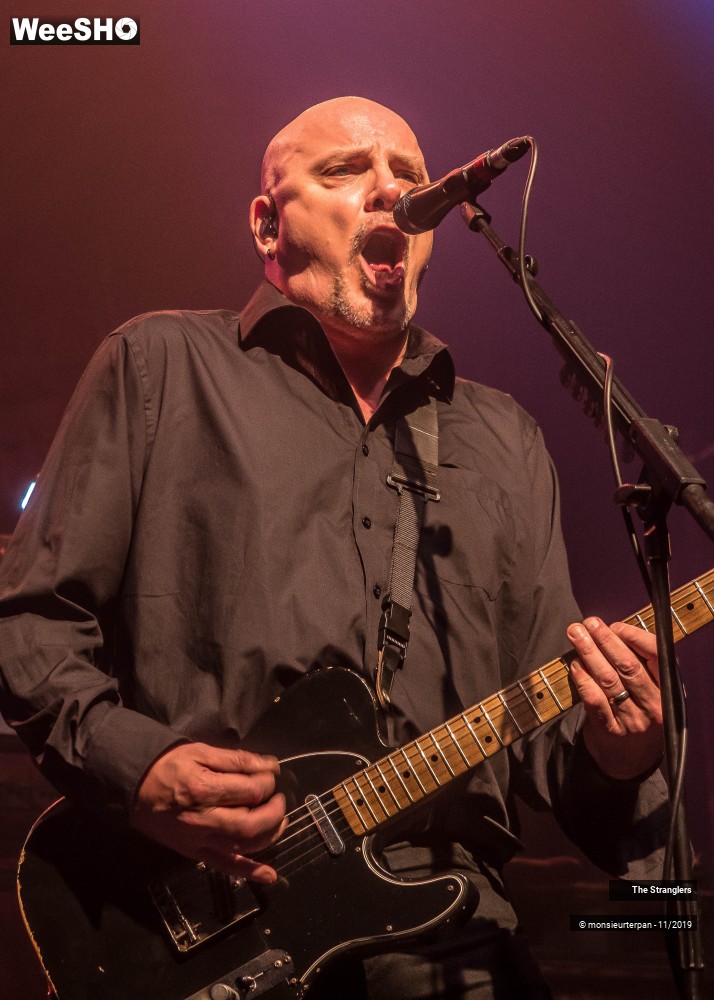 16/30 photos du spectacle The Stranglers