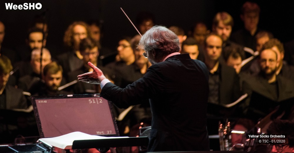 3/36 photos du spectacle The Fellowship of the ring en ciné concert
