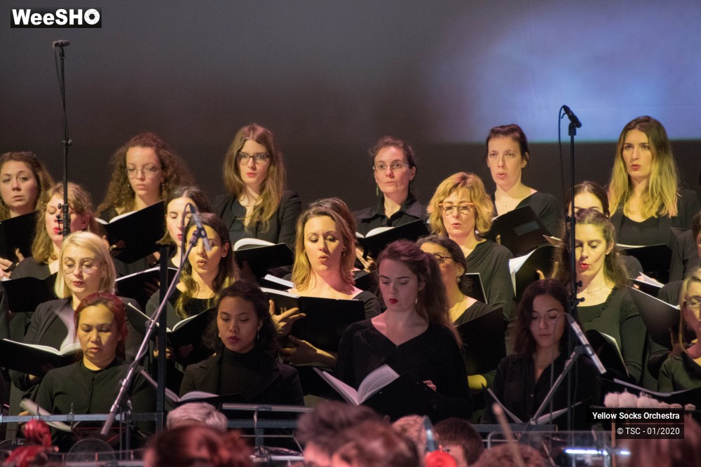 4/36 photos du spectacle The Fellowship of the ring en ciné concert