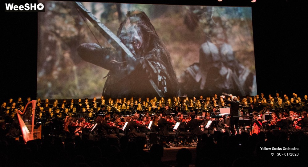 5/36 photos du spectacle The Fellowship of the ring en ciné concert