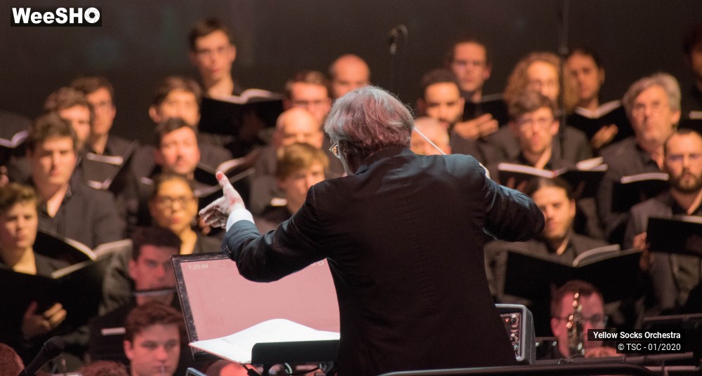 7/36 photos du spectacle The Fellowship of the ring en ciné concert