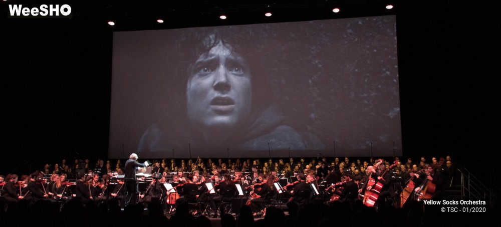 10/36 photos du spectacle The Fellowship of the ring en ciné concert
