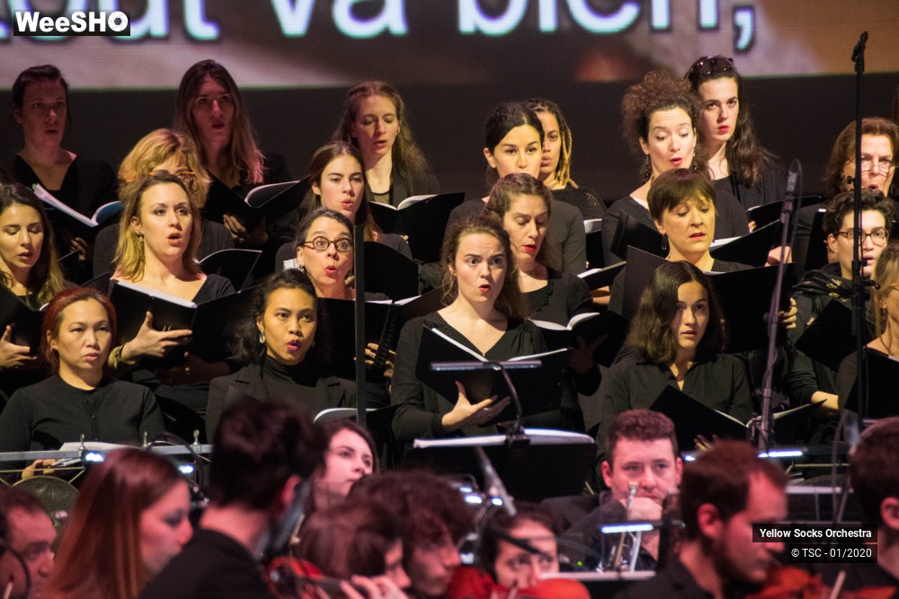 13/36 photos du spectacle The Fellowship of the ring en ciné concert
