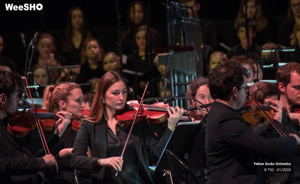 17/36 photos du spectacle The Fellowship of the ring en ciné concert