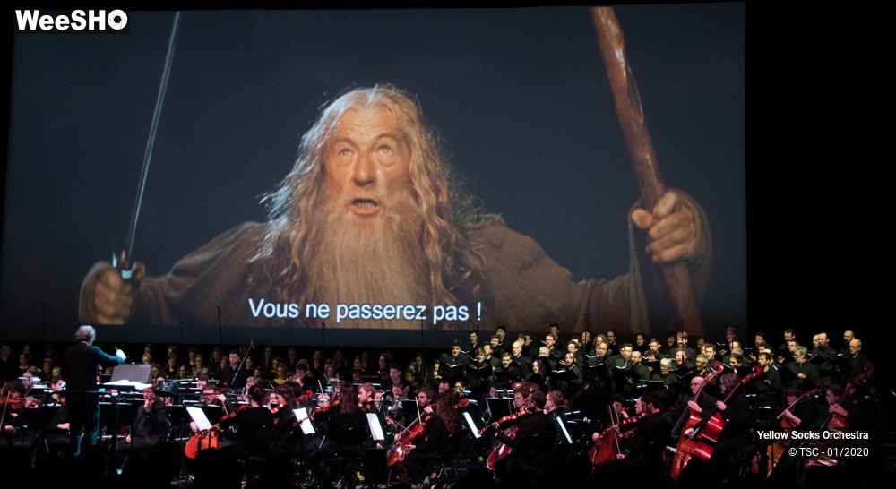 24/36 photos du spectacle The Fellowship of the ring en ciné concert