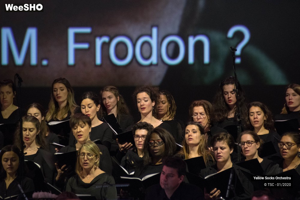 34/36 photos du spectacle The Fellowship of the ring en ciné concert