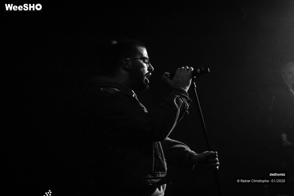 17/28 photos du spectacle Dedhomiz
