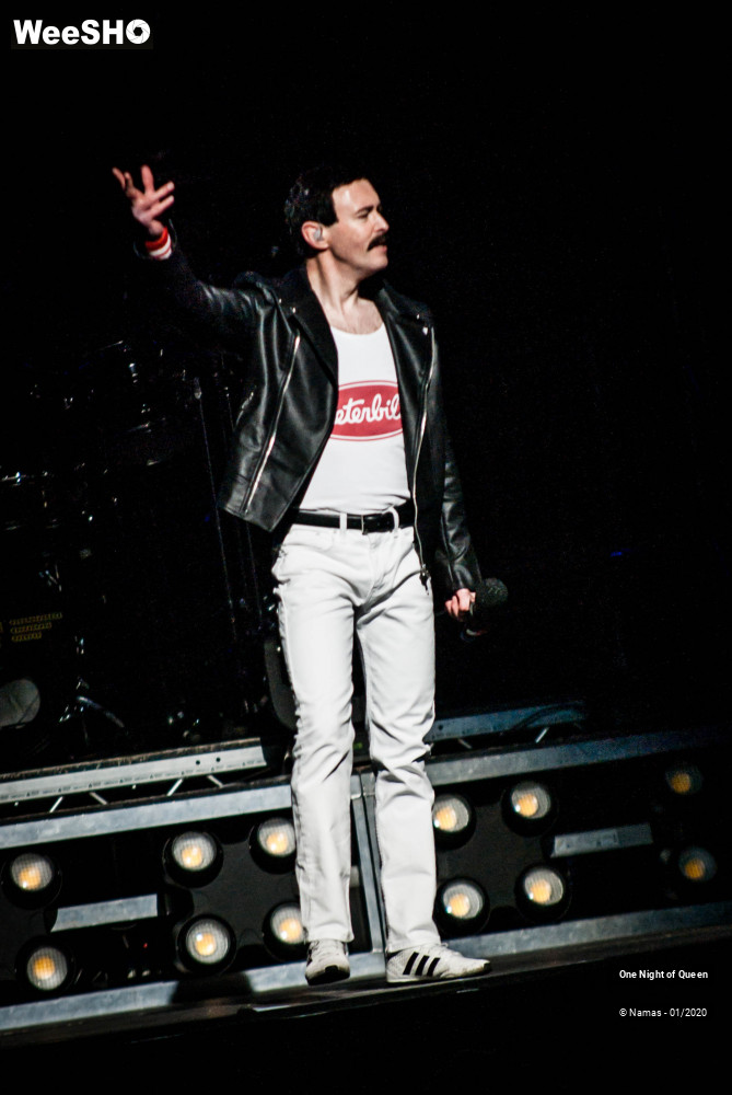 2/15 photos du spectacle One Night of Queen