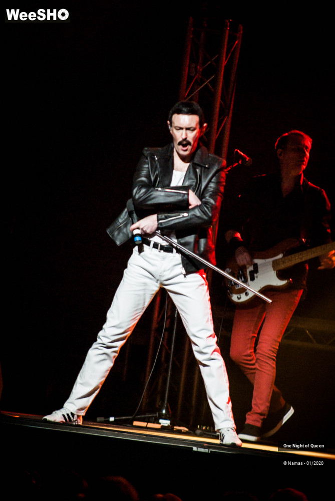 3/15 photos du spectacle One Night of Queen