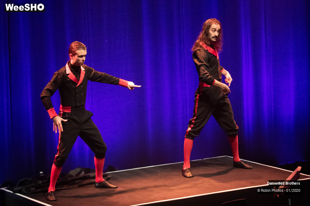 10/38 photos du spectacle Demented Brothers