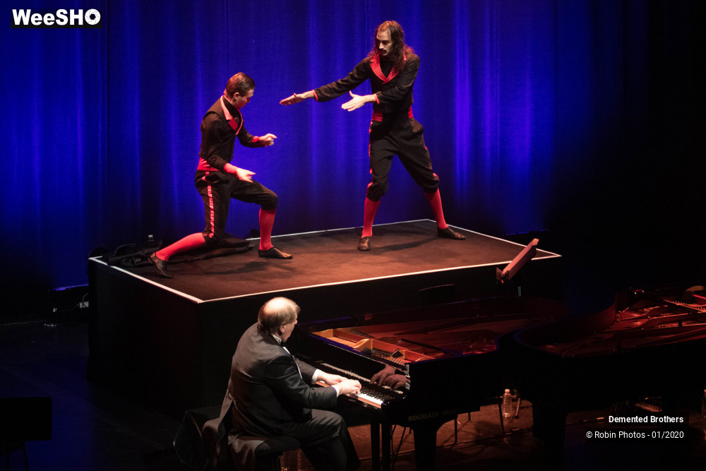 11/38 photos du spectacle Demented Brothers