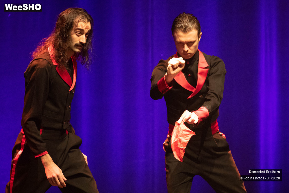 13/38 photos du spectacle Demented Brothers
