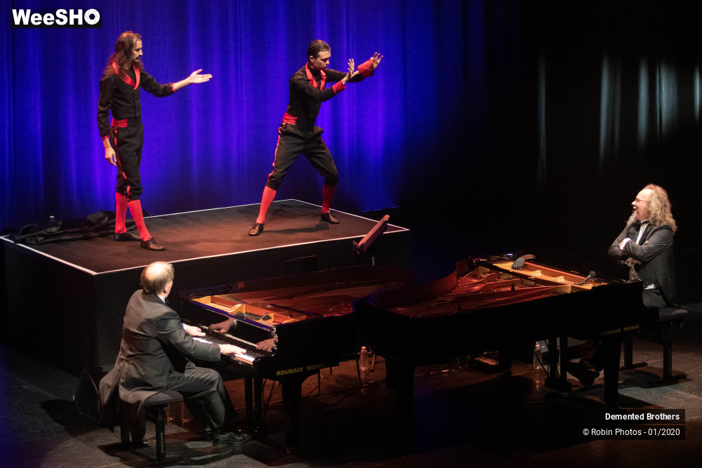 14/38 photos du spectacle Demented Brothers