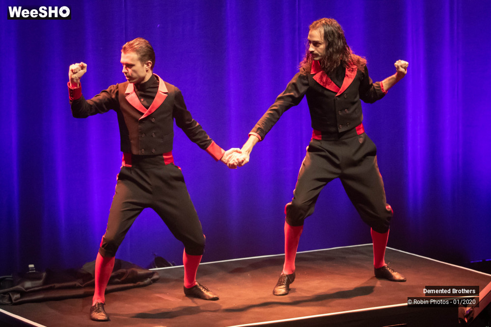 16/38 photos du spectacle Demented Brothers