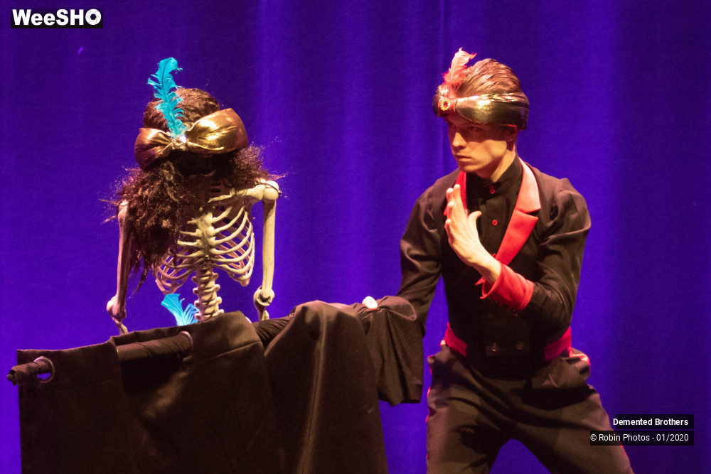 21/38 photos du spectacle Demented Brothers