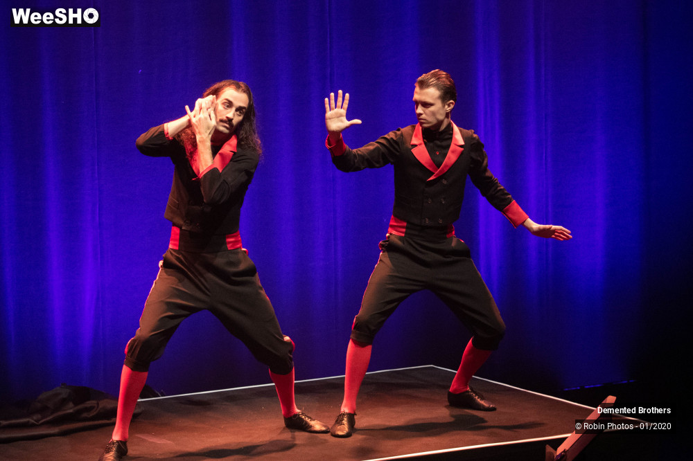 25/38 photos du spectacle Demented Brothers