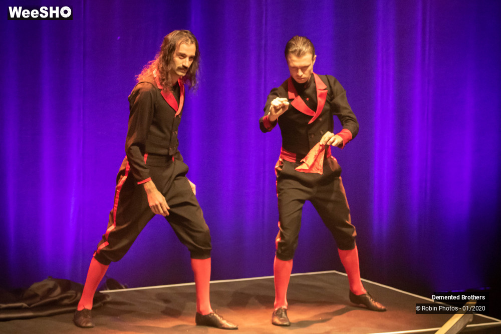 26/38 photos du spectacle Demented Brothers