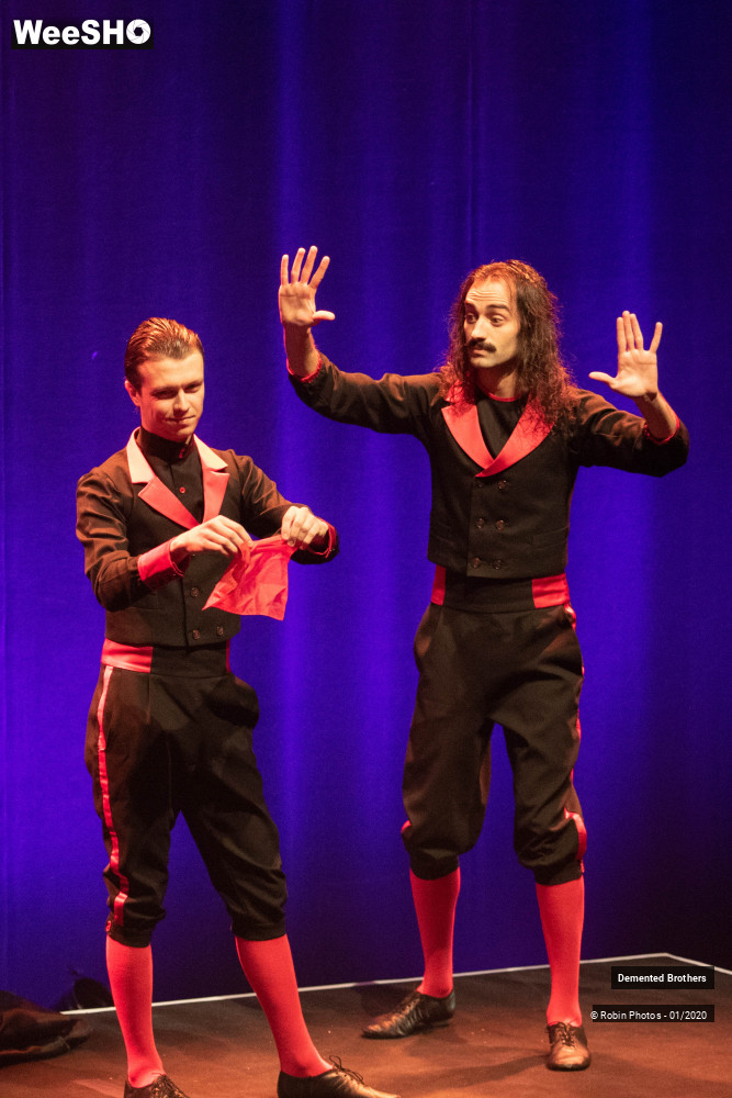 27/38 photos du spectacle Demented Brothers