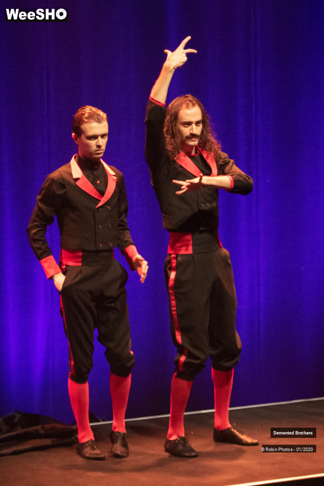 30/38 photos du spectacle Demented Brothers