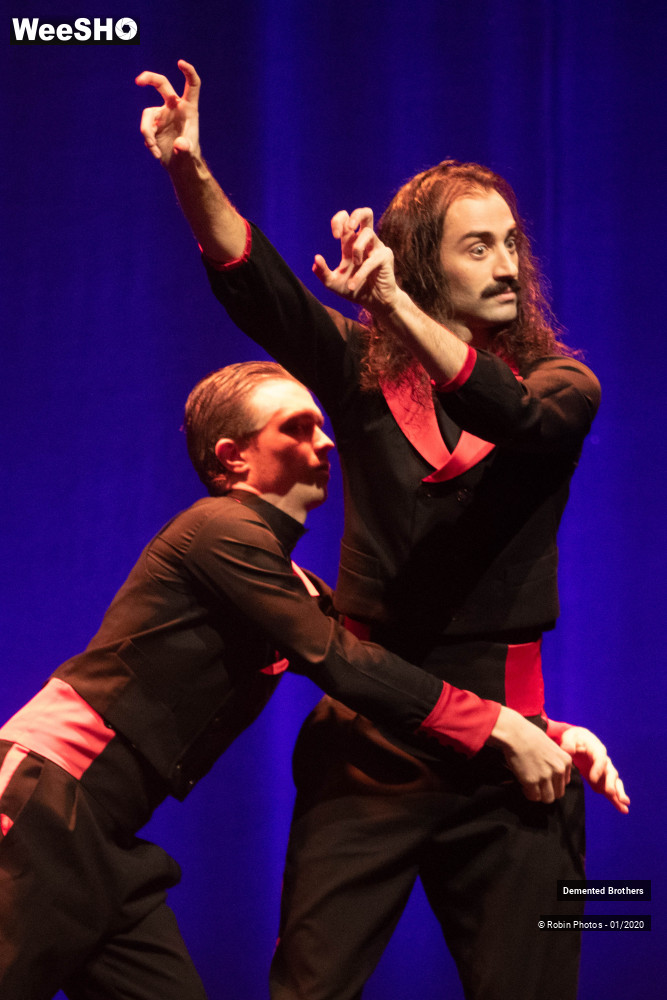 31/38 photos du spectacle Demented Brothers