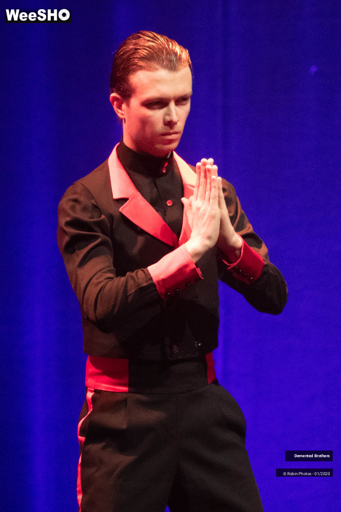 32/38 photos du spectacle Demented Brothers