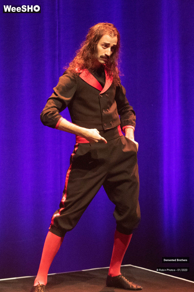 33/38 photos du spectacle Demented Brothers