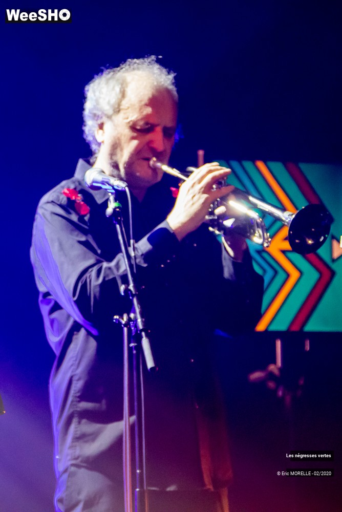 10/60 photos du spectacle les négresses vertes