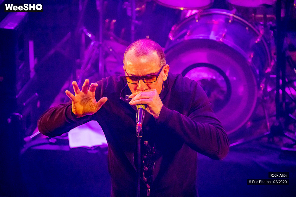 41/80 photos du spectacle Rock Alibi