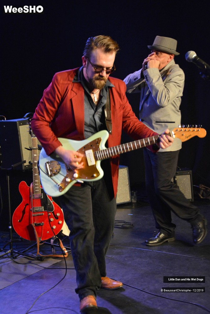 2/42 photos du spectacle Little Dan and His Wet Dogs