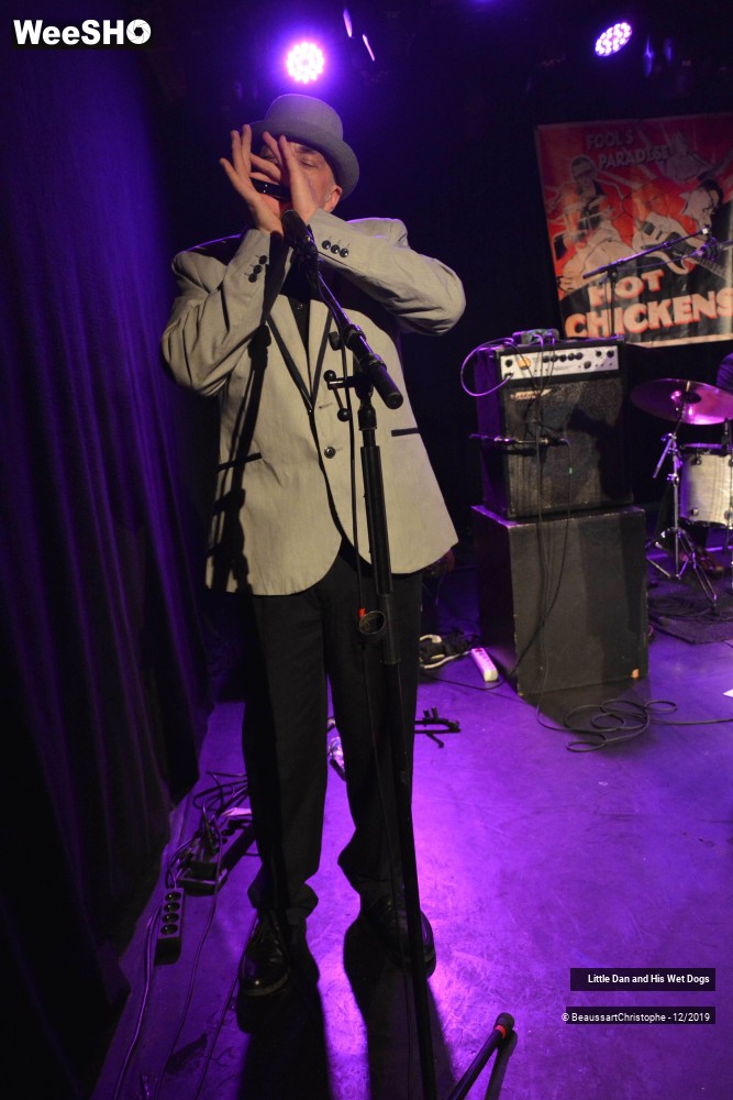4/42 photos du spectacle Little Dan and His Wet Dogs