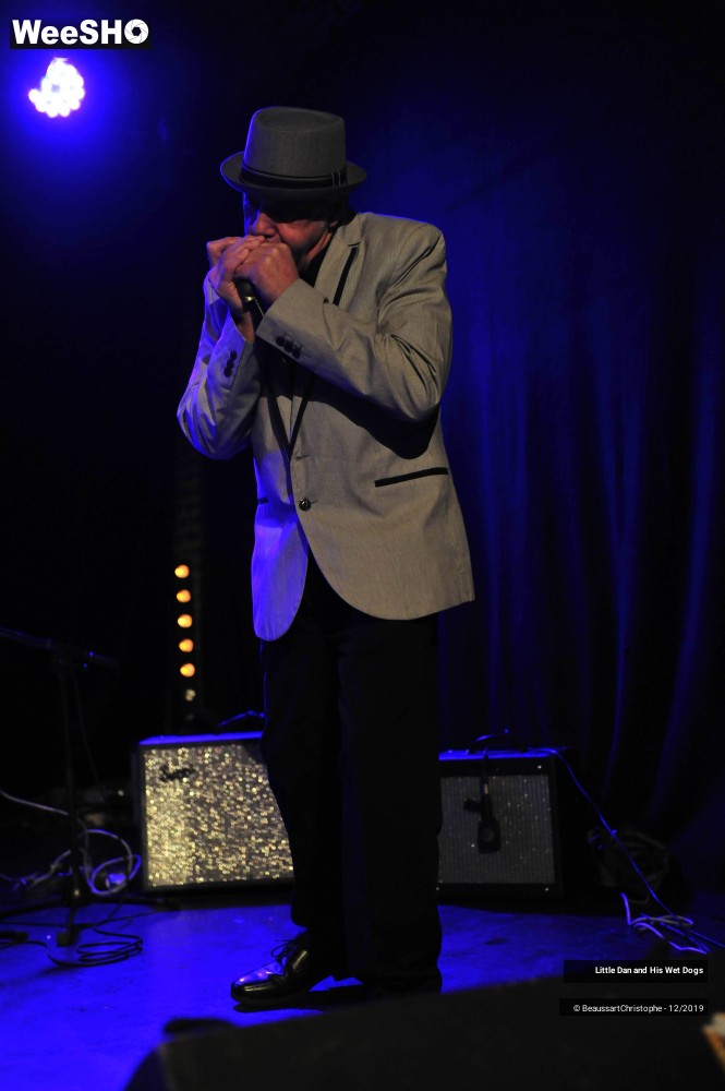 5/42 photos du spectacle Little Dan and His Wet Dogs