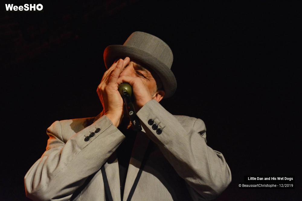 18/42 photos du spectacle Little Dan and His Wet Dogs