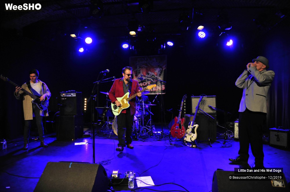 25/42 photos du spectacle Little Dan and His Wet Dogs