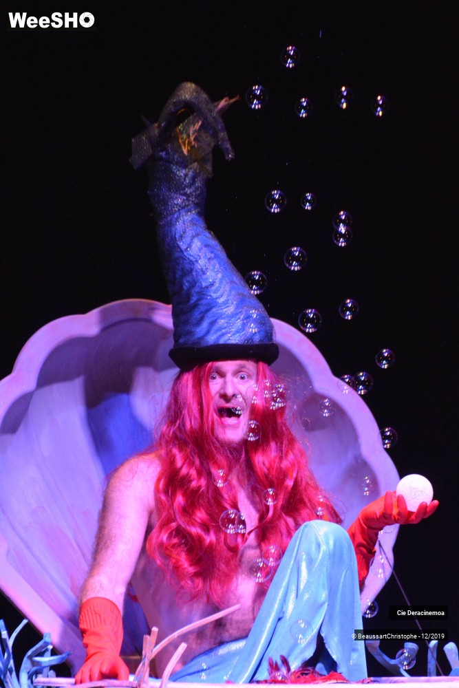 12/51 photos du spectacle Peter Pan in Switzerland