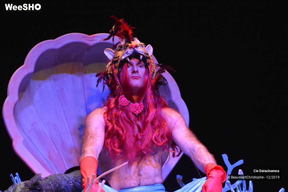 18/51 photos du spectacle Peter Pan in Switzerland
