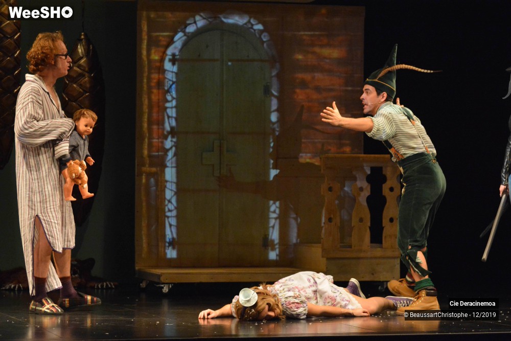 22/51 photos du spectacle Peter Pan in Switzerland