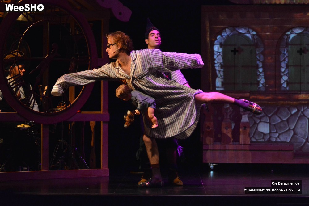 23/51 photos du spectacle Peter Pan in Switzerland