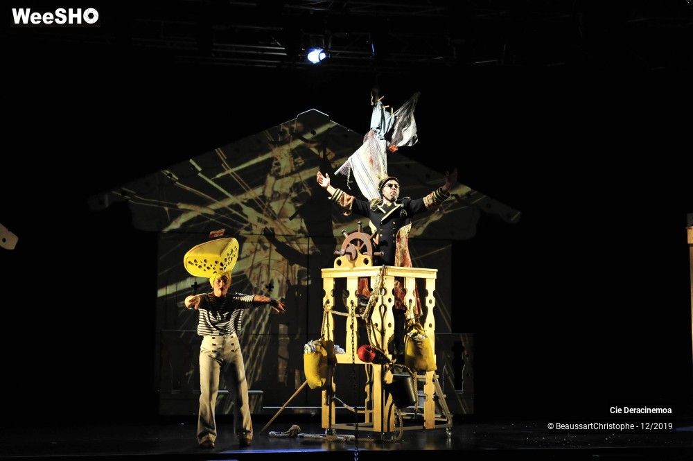 24/51 photos du spectacle Peter Pan in Switzerland