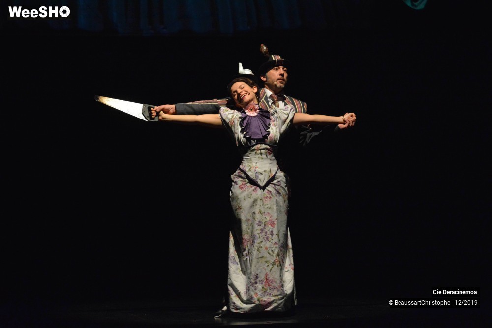 25/51 photos du spectacle Peter Pan in Switzerland