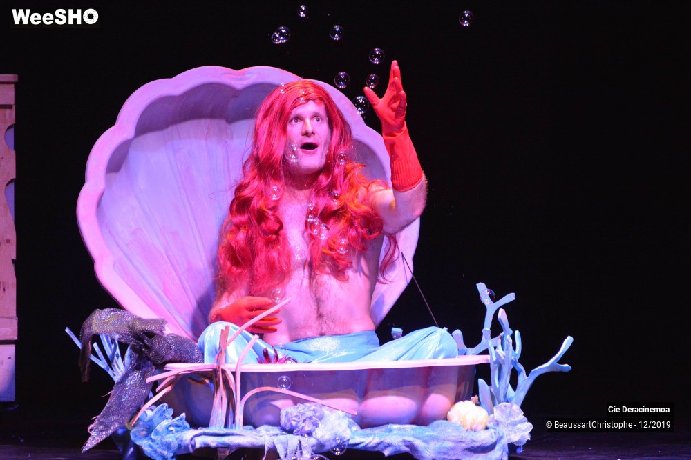 28/51 photos du spectacle Peter Pan in Switzerland