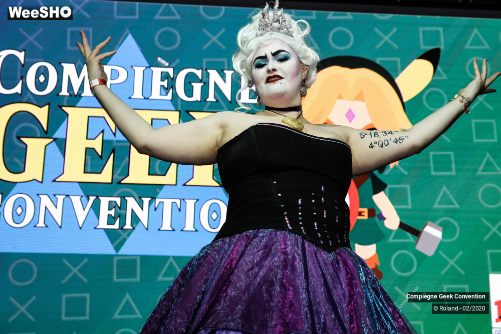 34/56 photos du spectacle Geek Convention 2 eme edition