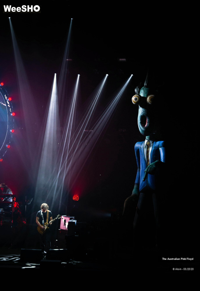6/23 photos du spectacle The Australian Pink Floys show