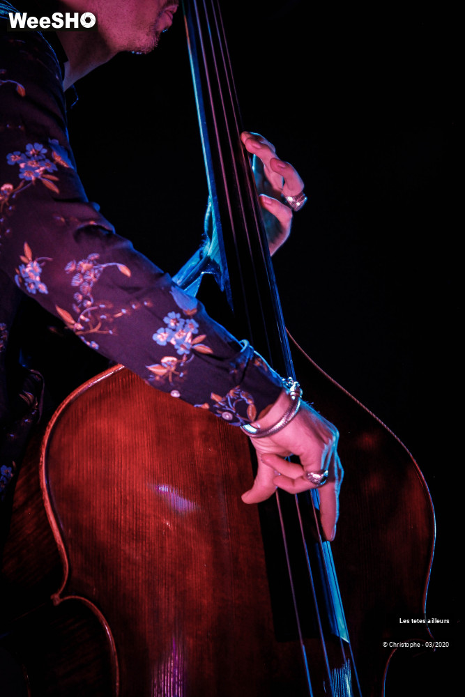 7/45 photos du spectacle Les tetes ailleurs