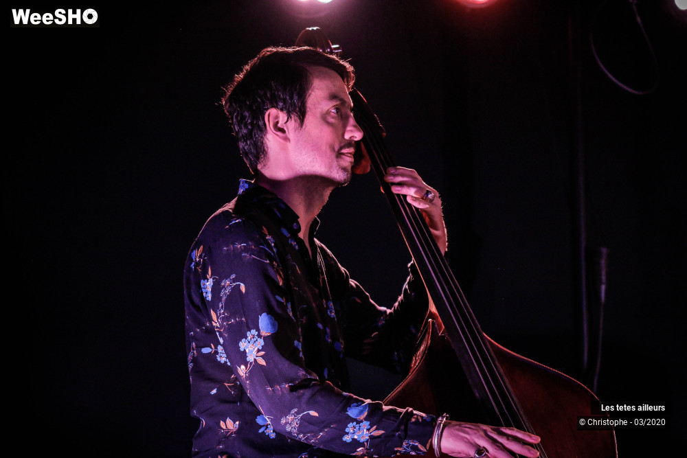 24/45 photos du spectacle Les tetes ailleurs