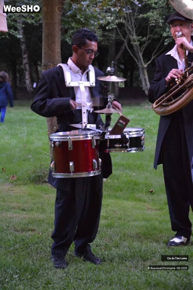 1/16 photos du spectacle Rijsel Fanfare Jungle