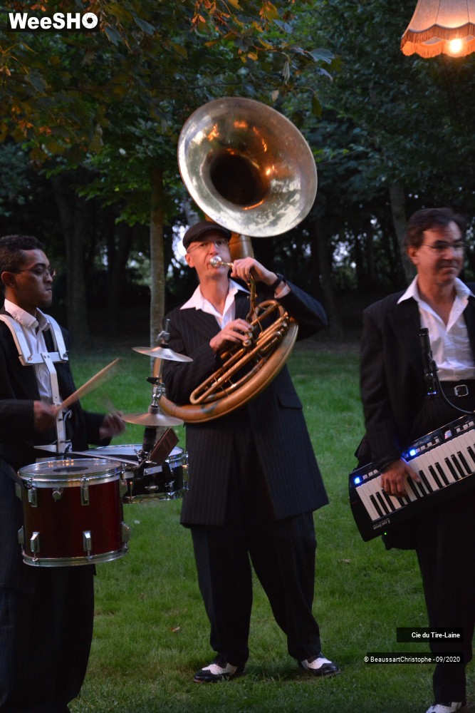 7/16 photos du spectacle Rijsel Fanfare Jungle