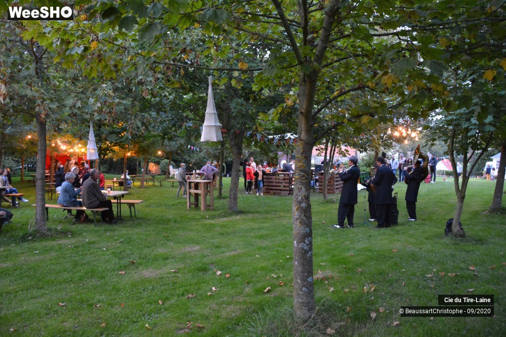 10/16 photos du spectacle Rijsel Fanfare Jungle