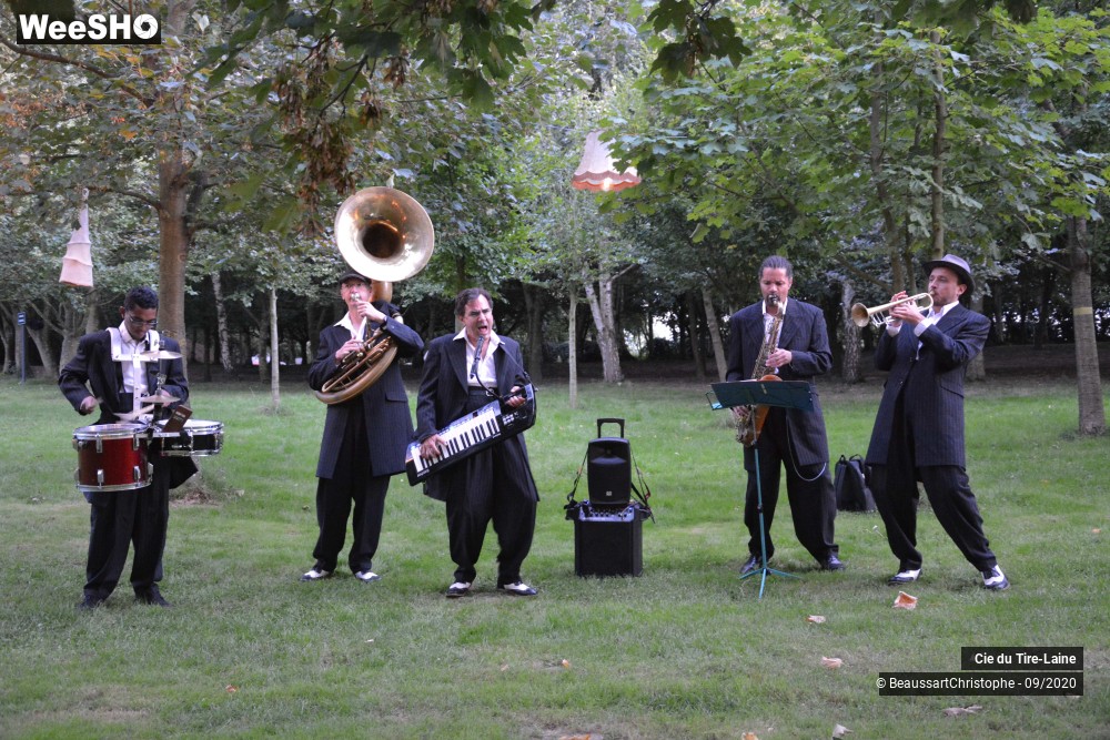 16/16 photos du spectacle Rijsel Fanfare Jungle
